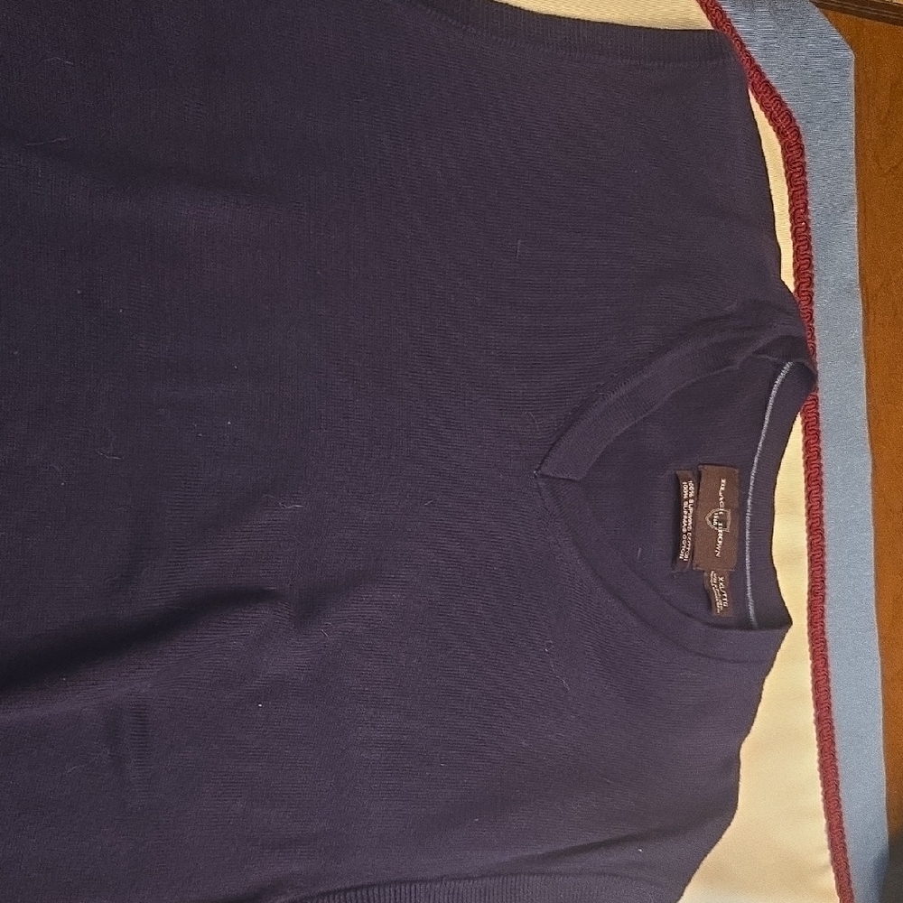 Black Brown 1826 Men's V-Neck Sweater - Navy